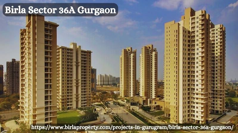 Birla Sector 36A Gurgaon