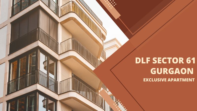 DLF Sector 61 Gurgaon | Exclusive Apartment