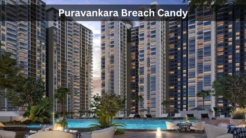 Puravankara Breach Candy